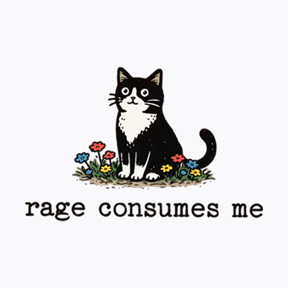 Rage Consumes Me Funny Cat Washed T-Shirt