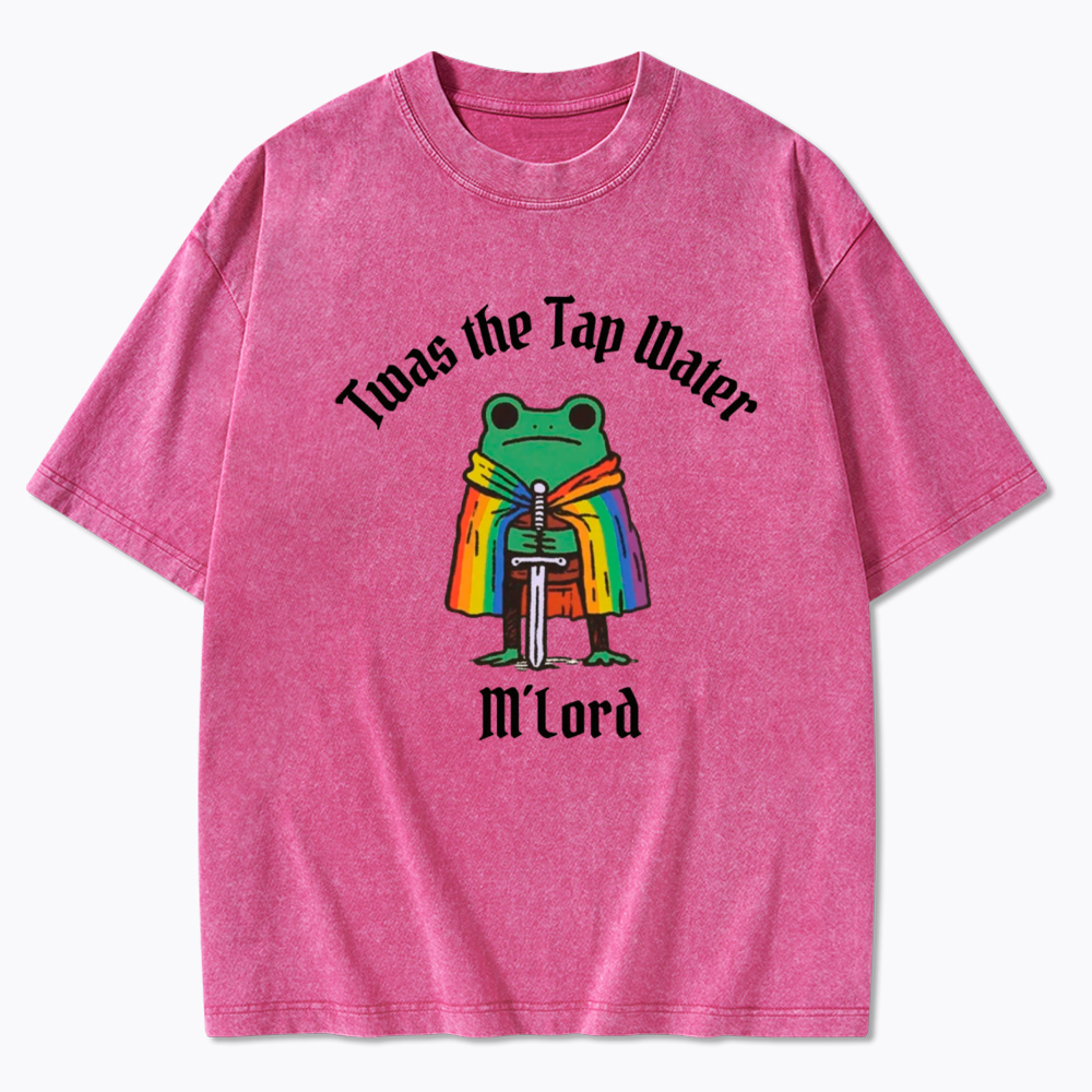 Twas the Tap Water Funny Frog LGBTQ Pride Washed T-Shirt