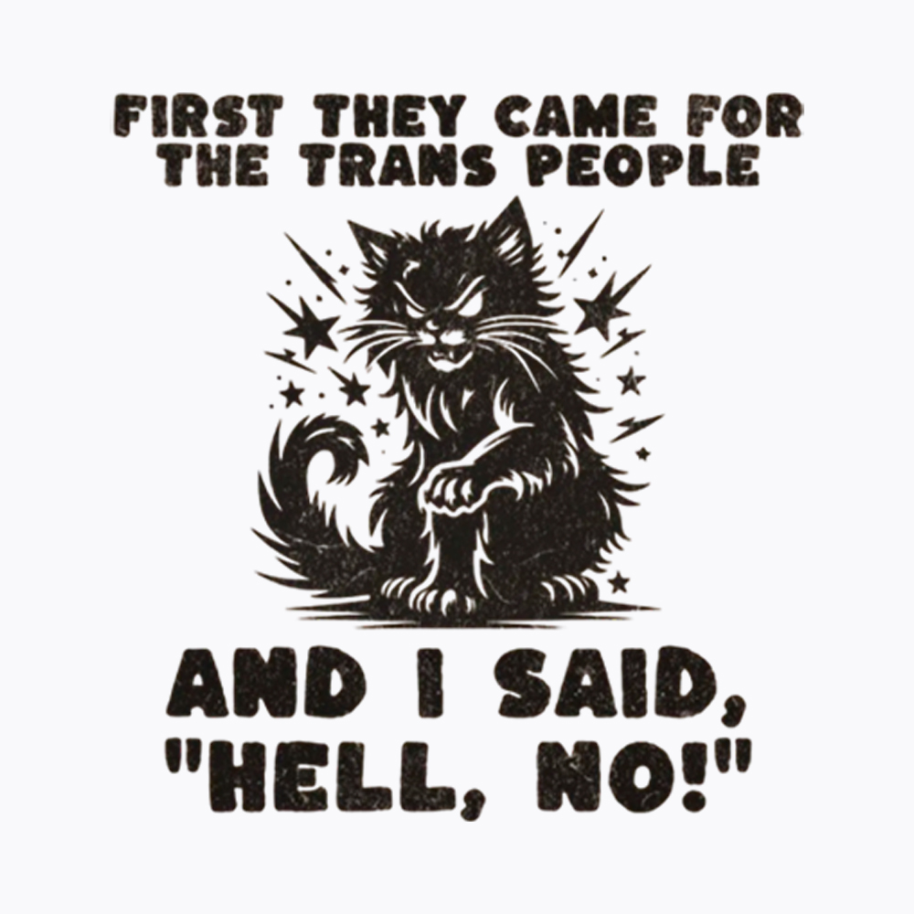 First They Came for the Trans People Washed T-Shirt