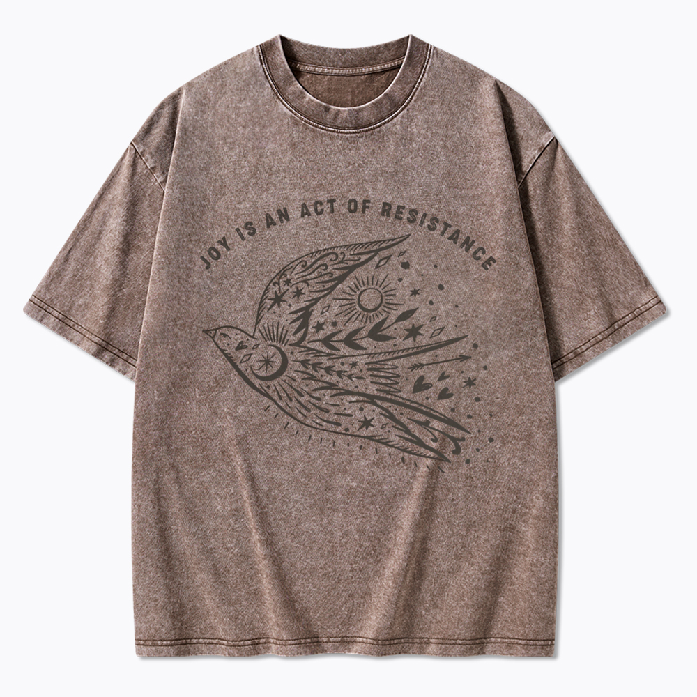 Joy is an Act of Resistance Washed T-Shirt