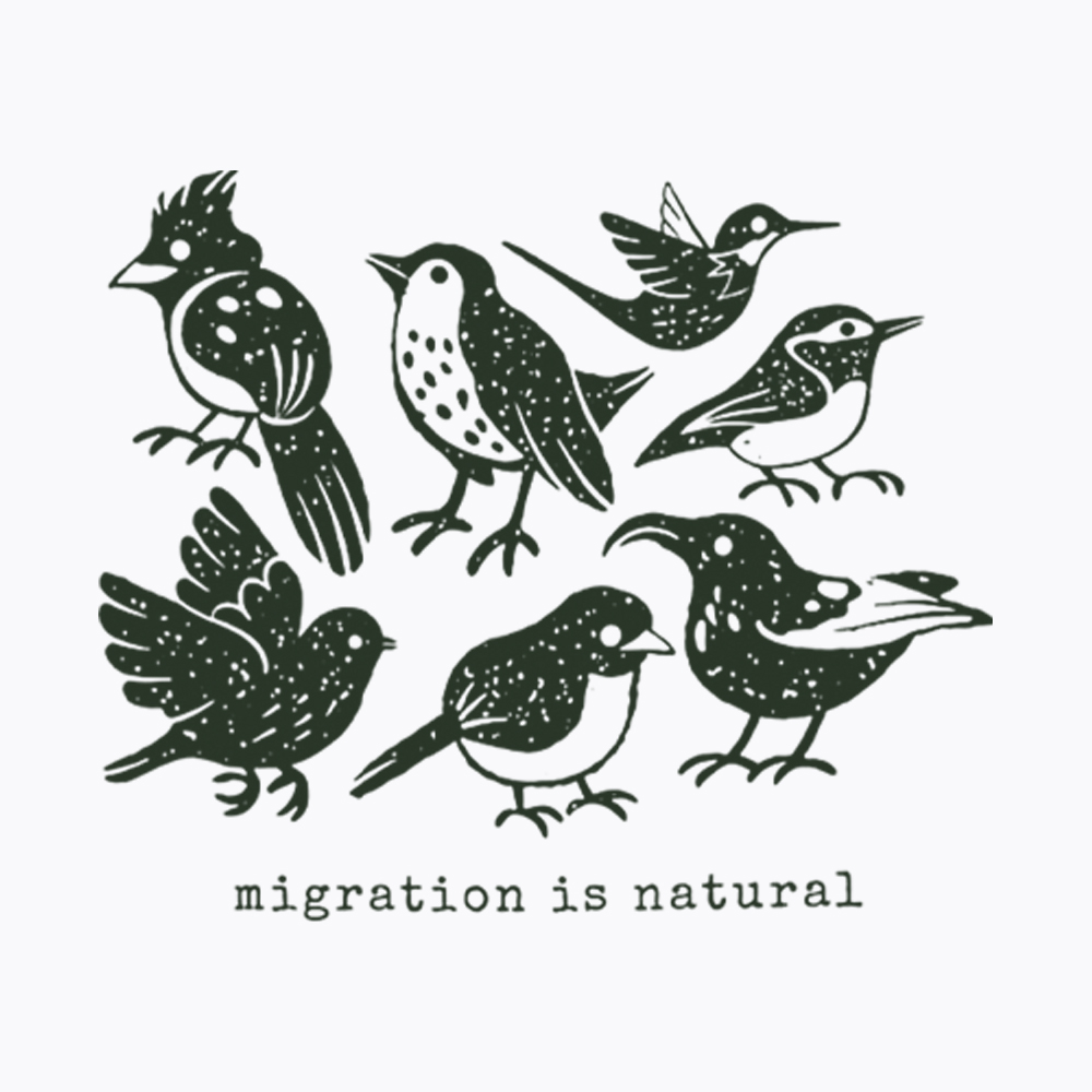 Migration Is Natural Pro Immigration Washed T-Shirt