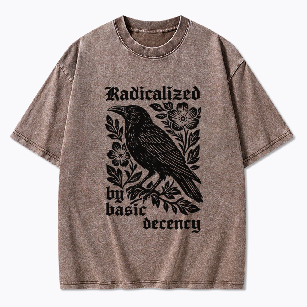 Radicalized By Basic Decency Washed T-Shirt