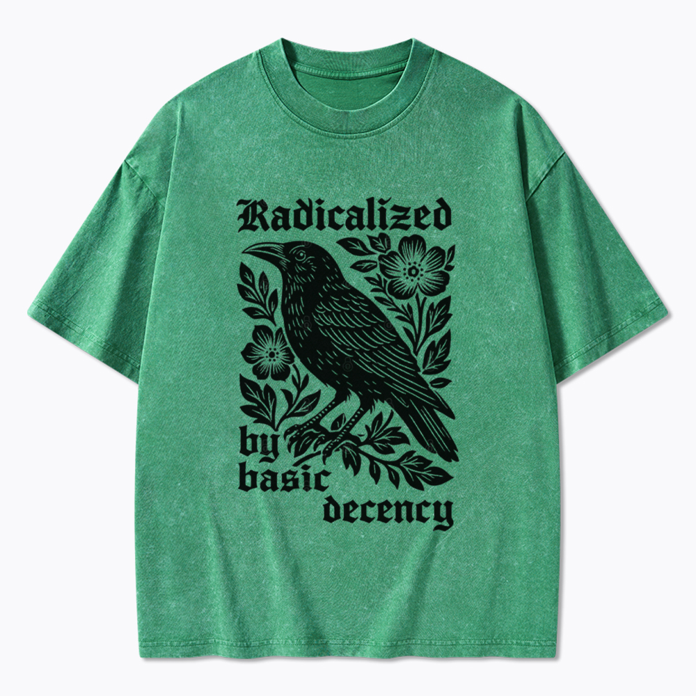Radicalized By Basic Decency Washed T-Shirt