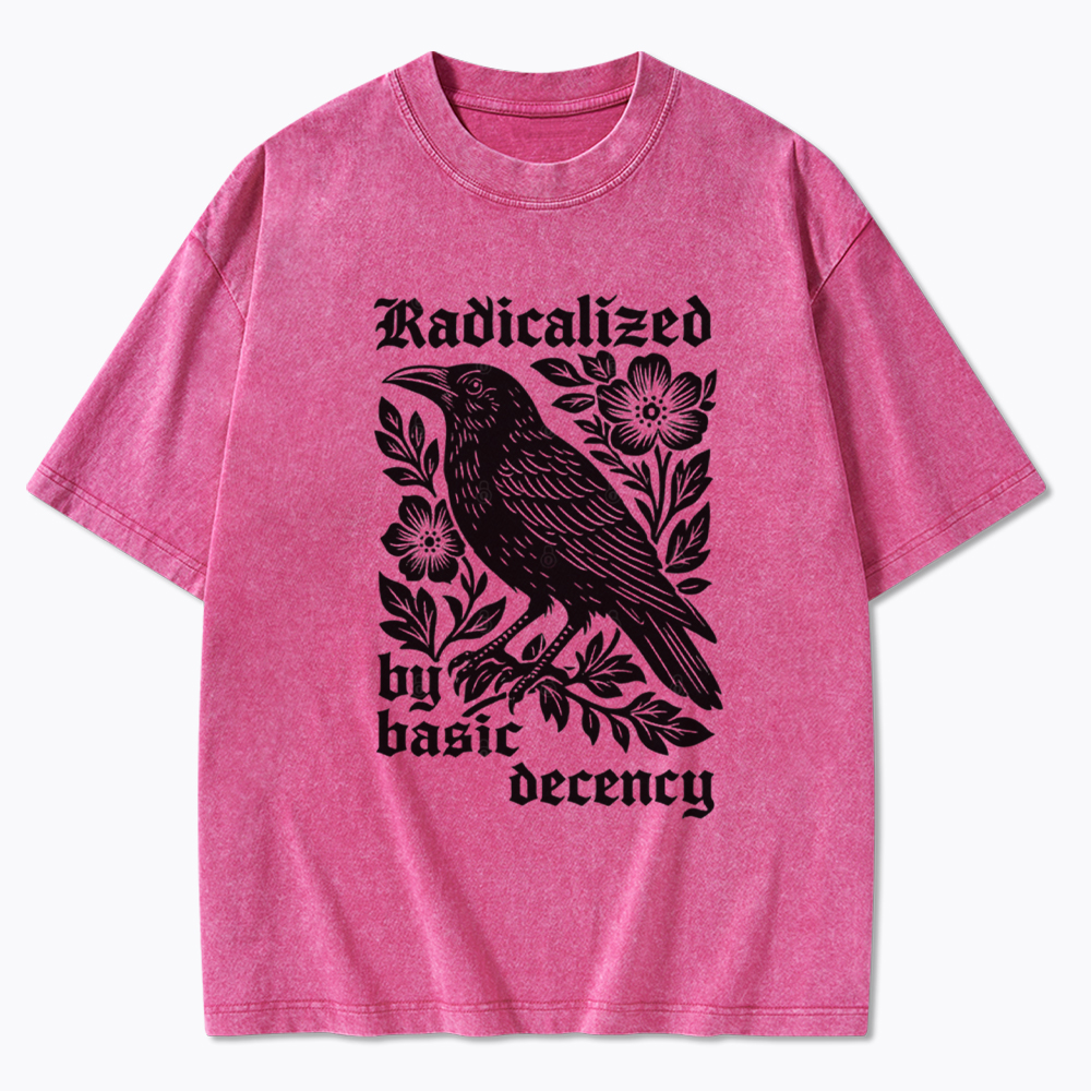 Radicalized By Basic Decency Washed T-Shirt