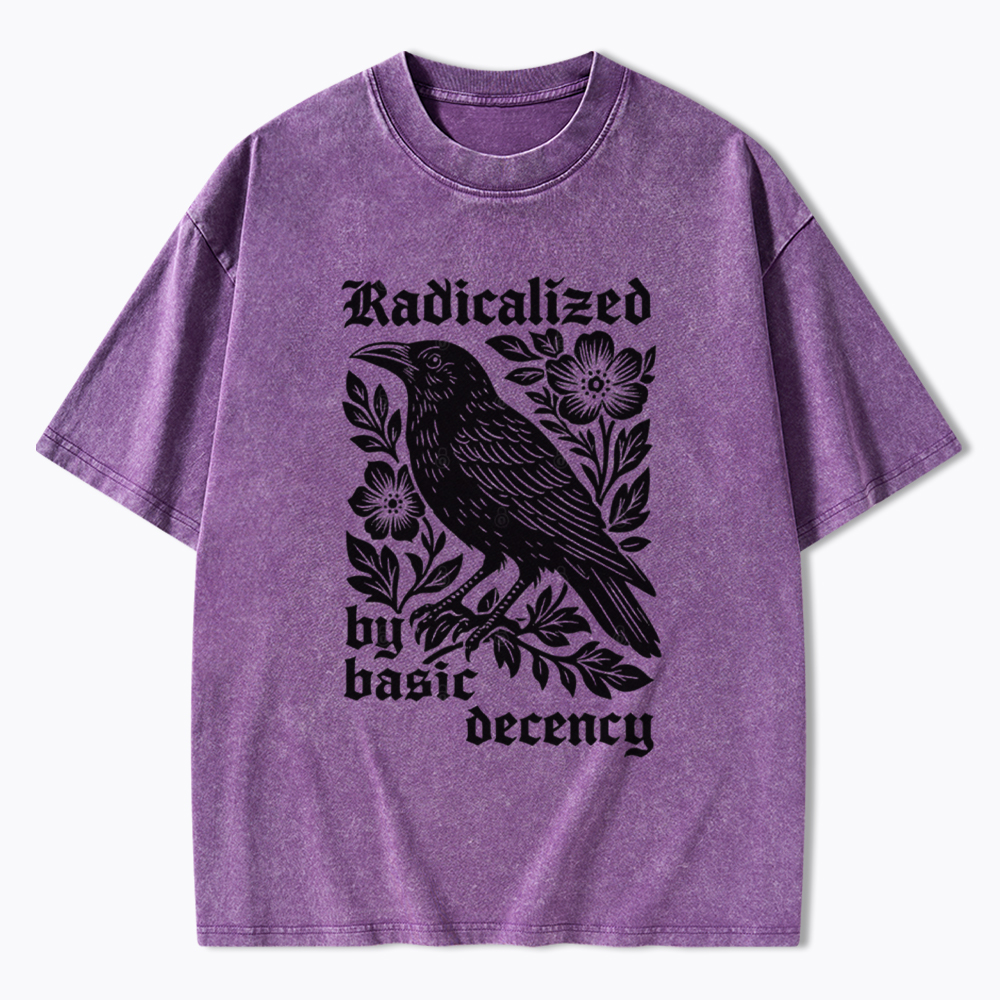 Radicalized By Basic Decency Washed T-Shirt