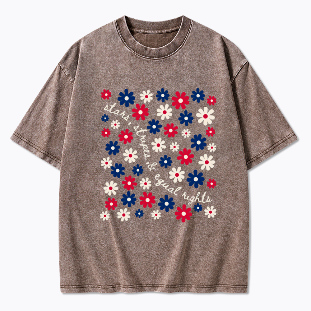 Stars Stripe & Equal Rights Washed T-Shirt