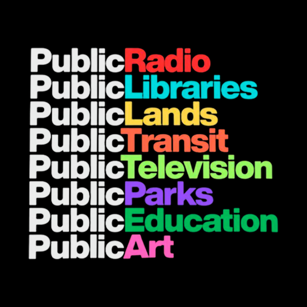 Public Libraries Washed T-Shirt