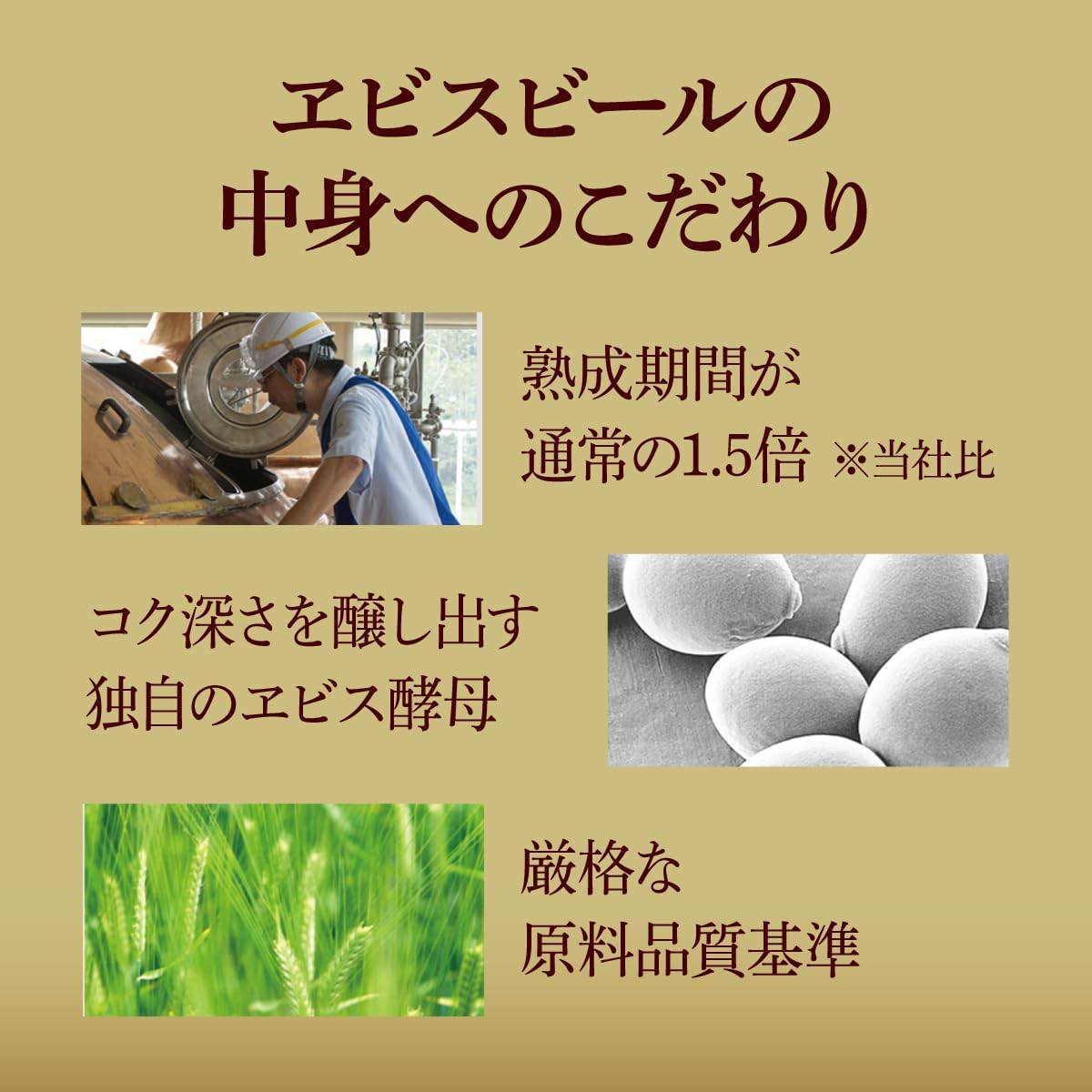 サッポロ エビス 350ml×2ケース/48本 ビール YTR