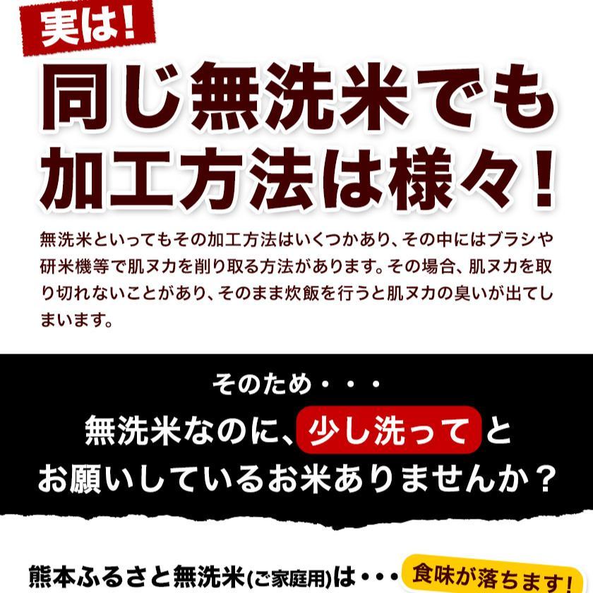 【ふるさと納税】総合１位! 高レビュー 選べる発送時期 選べる出荷時期 2年定期登場 熊本ふるさと無洗米 5kg 10kg 20kg 訳あり 米 コメ こめ 熊本県産 米 ふるさと納税 わけあり 以上のお米ならこれ お米 おこめ 熊本 むせんまい kome musennmai 定期便