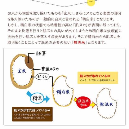 【ふるさと納税】総合１位! 高レビュー 選べる発送時期 選べる出荷時期 2年定期登場 熊本ふるさと無洗米 5kg 10kg 20kg 訳あり 米 コメ こめ 熊本県産 米 ふるさと納税 わけあり 以上のお米ならこれ お米 おこめ 熊本 むせんまい kome musennmai 定期便