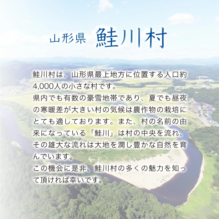 【値上げが近づいている】令和7年産米 鮭川村 特別栽培米 つや姫 【無洗米】15kg （5kg×3袋）