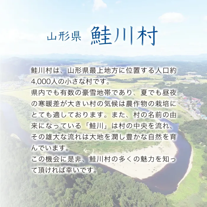 【値上げが近づいている】令和7年産米 鮭川村 特別栽培米 つや姫 【無洗米】15kg （5kg×3袋）