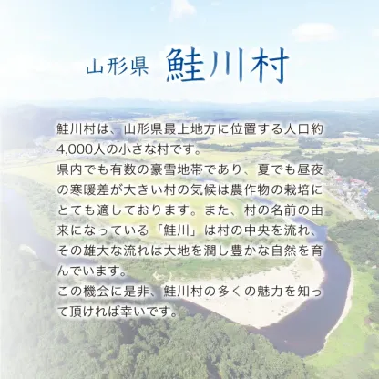 【値上げが近づいている】令和7年産米 鮭川村 特別栽培米 つや姫 【無洗米】15kg （5kg×3袋）