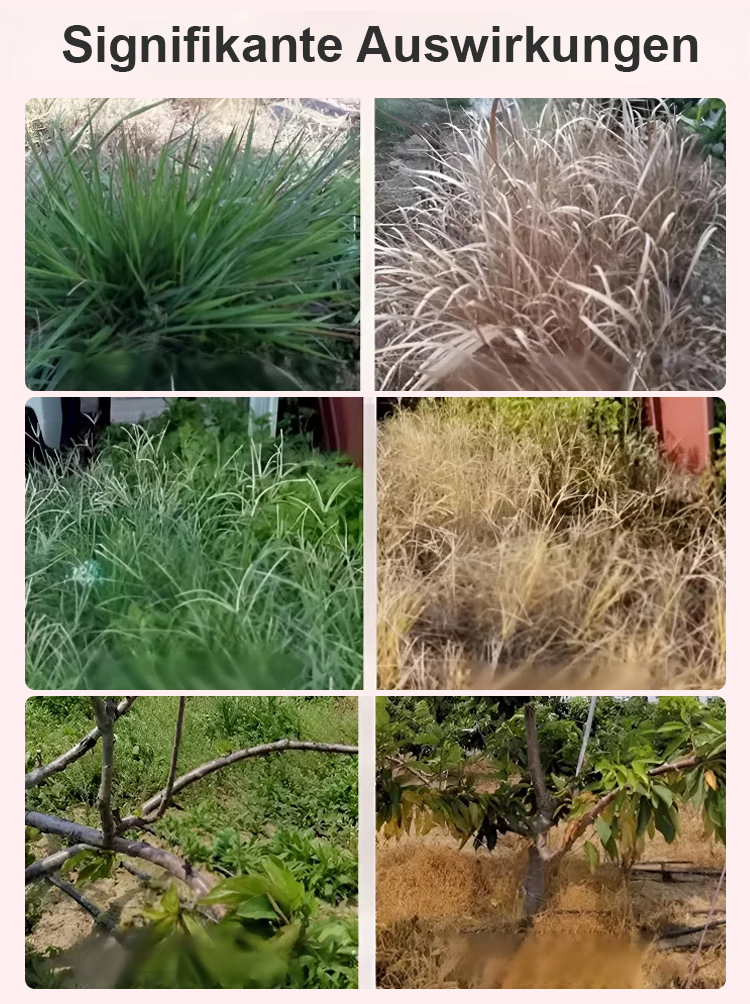 【🔥🔥🔥Einfach aufsprühen für 3 Jahre ohne Unkraut】Boden-Nährlösung🧪✨