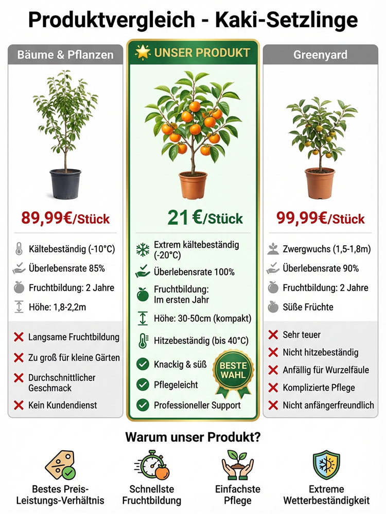 🌳Jetzt pflanzen, im Oktober ernten | Japanische Zwerg-Kaki: Anfängerfreundlich, nur gießen, 100% Anwachsgarantie & Ernte im ersten Jahr, winterhart von -35°C bis 42°C ✨