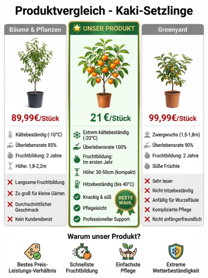 🌳Jetzt pflanzen, im Oktober ernten | Japanische Zwerg-Kaki: Anfängerfreundlich, nur gießen, 100% Anwachsgarantie & Ernte im ersten Jahr, winterhart von -35°C bis 42°C ✨