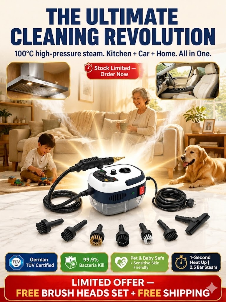 High temperature and high pressure steam cleaning machine