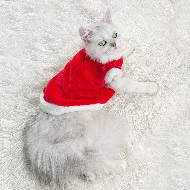 Aranyos kétlábú plüss ruha macskáknak