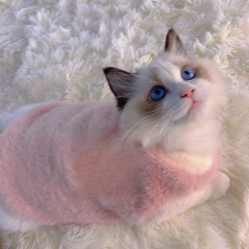 Aranyos kétlábú plüss ruha macskáknak