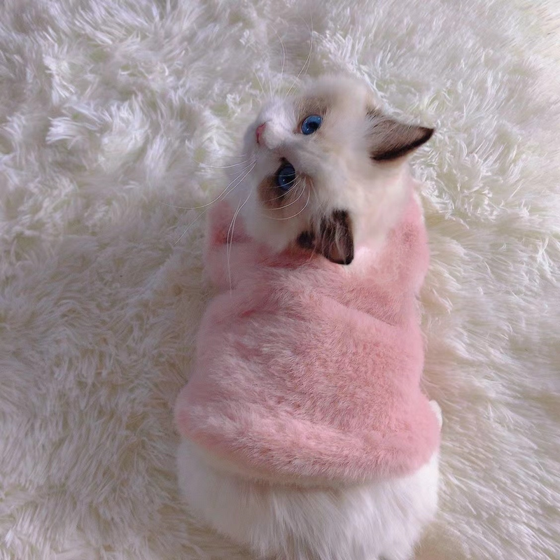 Aranyos kétlábú plüss ruha macskáknak