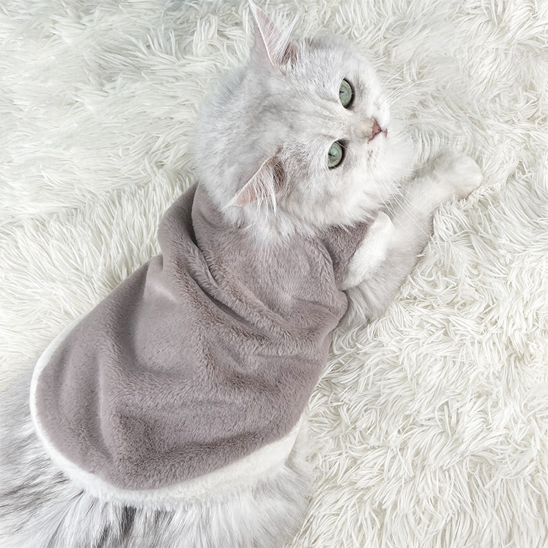 Aranyos kétlábú plüss ruha macskáknak