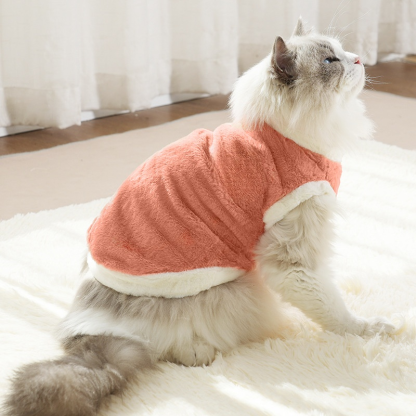 Aranyos kétlábú plüss ruha macskáknak