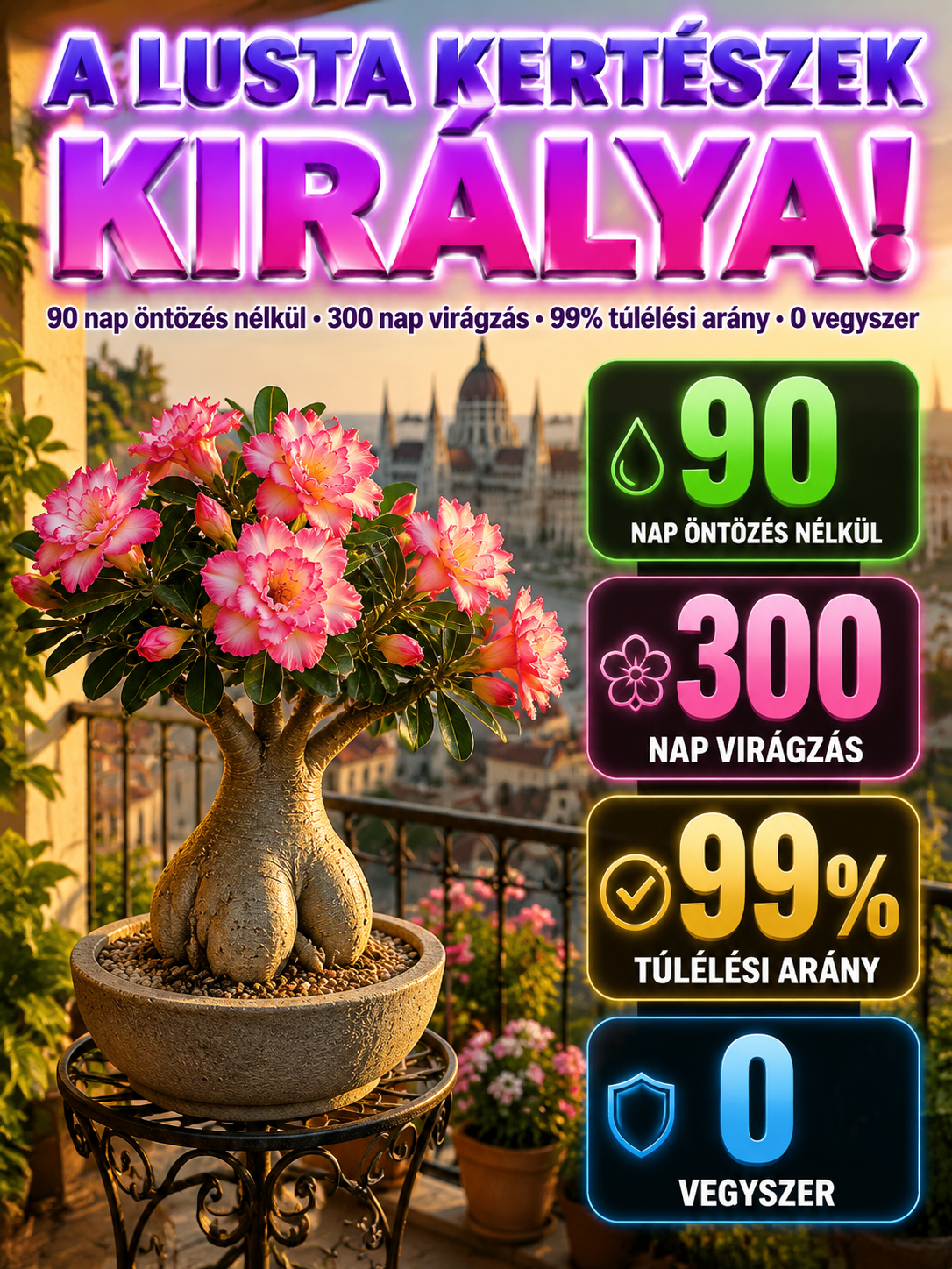 Óriás Sivatagi Rózsa – A 90 napig locsolás nélkül is túlélő csodanövény (70% Kedvezmény)