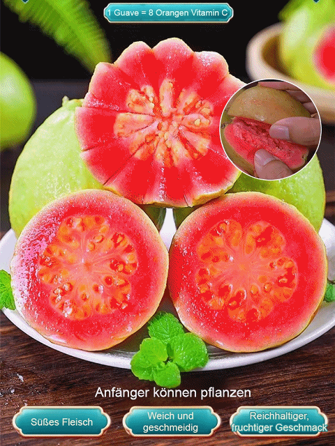 【Niedriger Fettgehalt, Vorbeugung gegen die drei hohen Werte】Perlen-Guaven-Samen