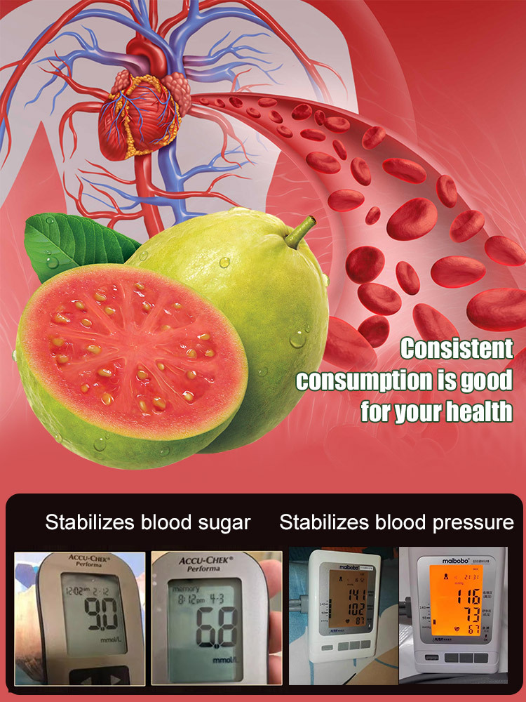 【Niedriger Fettgehalt, Vorbeugung gegen die drei hohen Werte】Perlen-Guaven-Samen