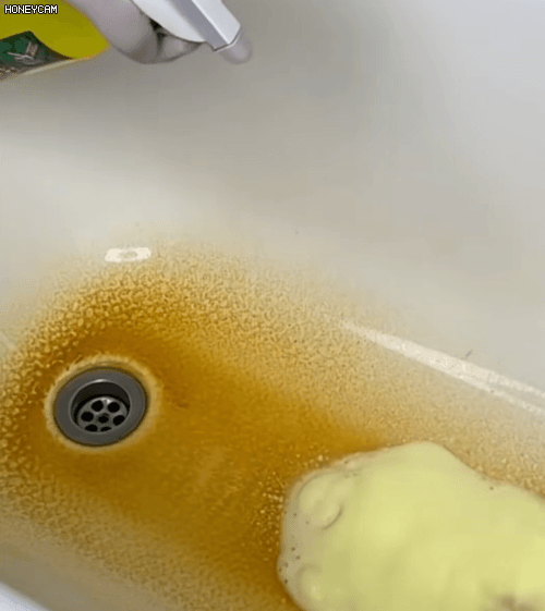 Honeycam 2026-01-22 10-44-40.gif