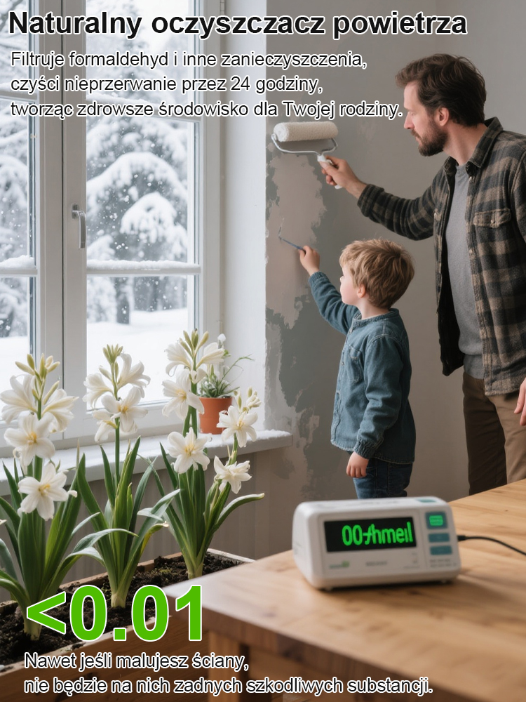 【Kwitnie normalnie w temperaturze -20℃】Kwiaty tuberozy pachnące na tysiące mil，Kwitnie co roku