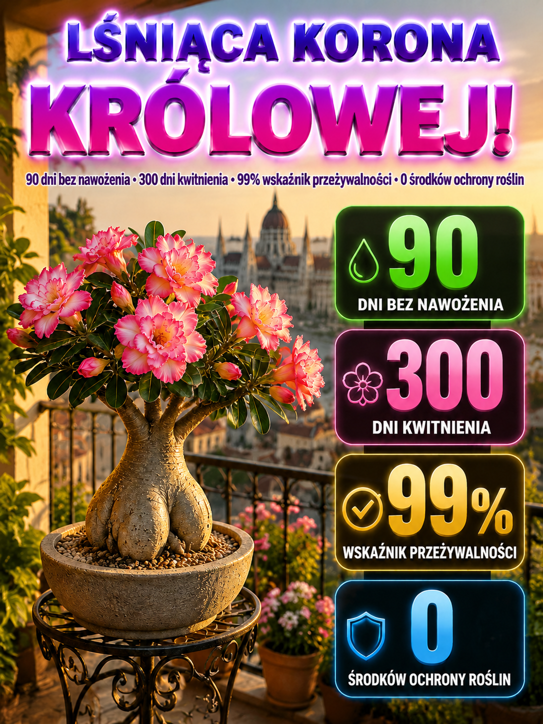 Cebule Róży Pustynnej Premium - Roślina Dla Zapracowanych (90 Dni Bez Wody)