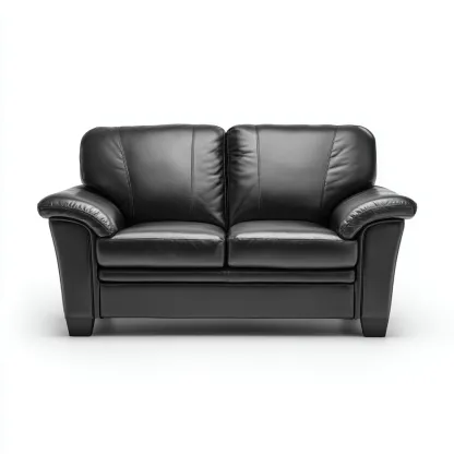 Canapé 2 places cuir 165x92x95 cm - noir - style classique moderne adapté au salon-Casauppad