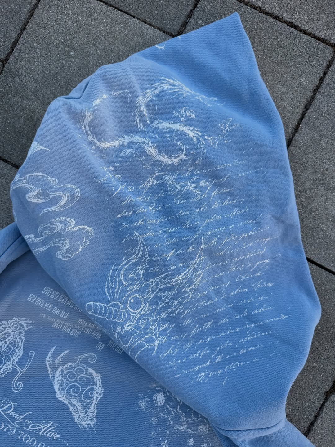 GRAND LINE VOYAGE HOODIE