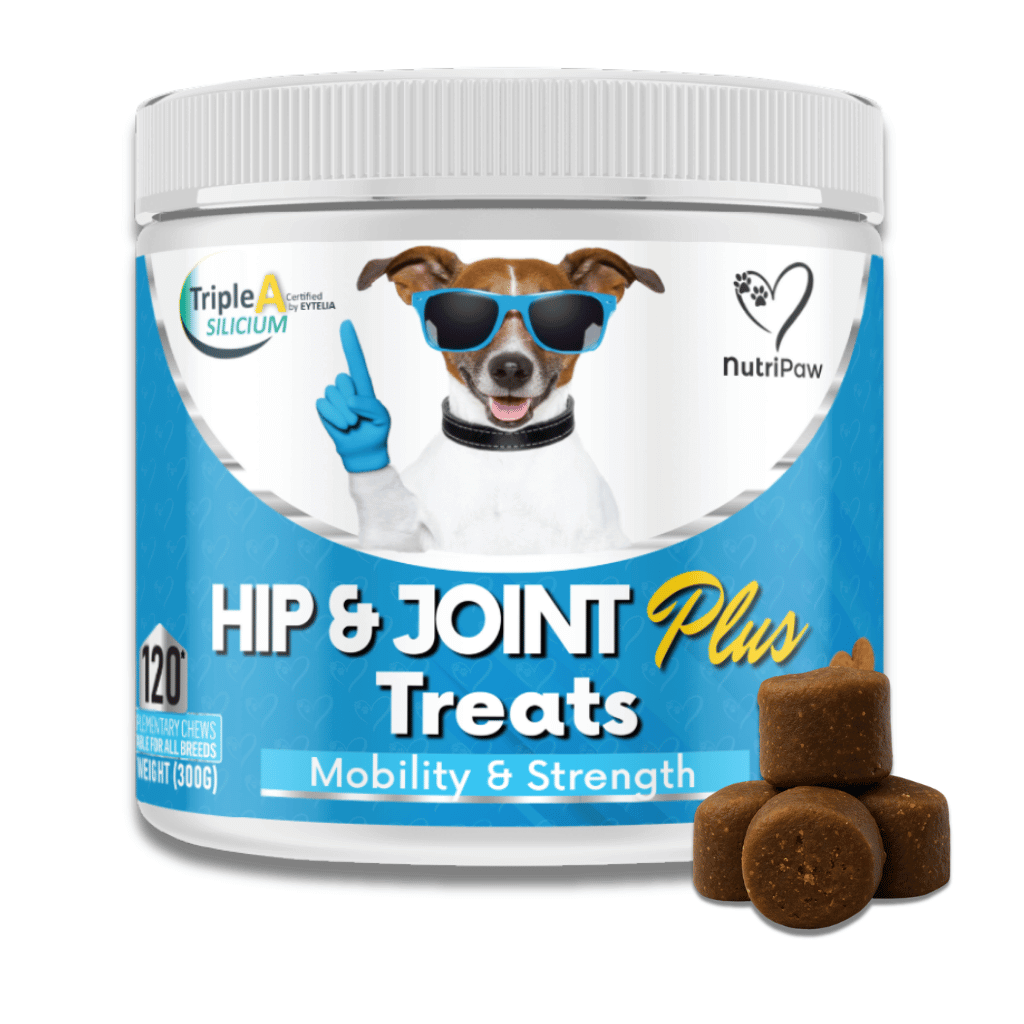 Hip & Joint Treats Plus