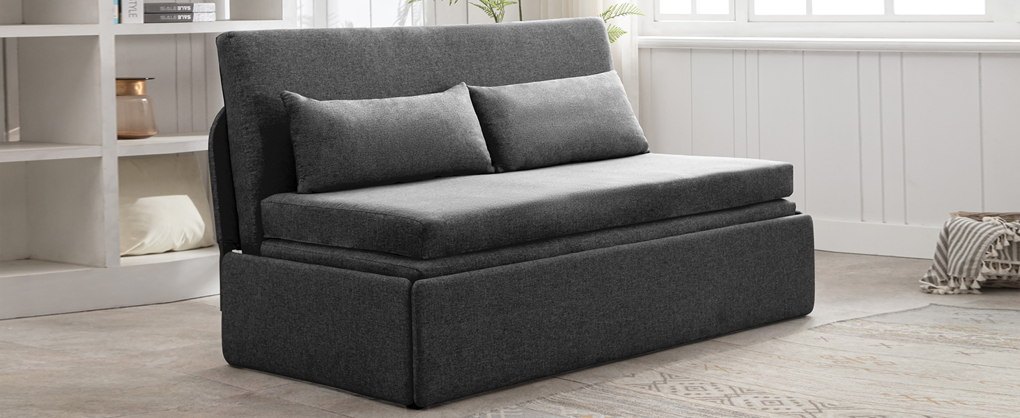 sleeper sofa