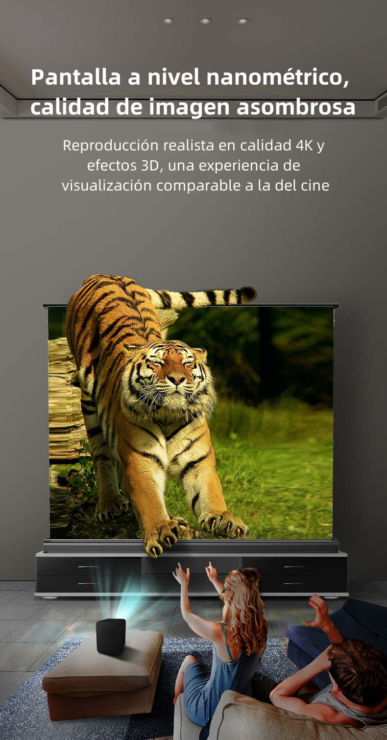 Pasted Image