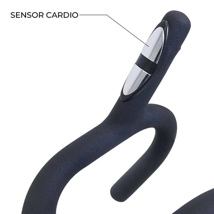 Bicicleta Spinning BM FITNESS 324