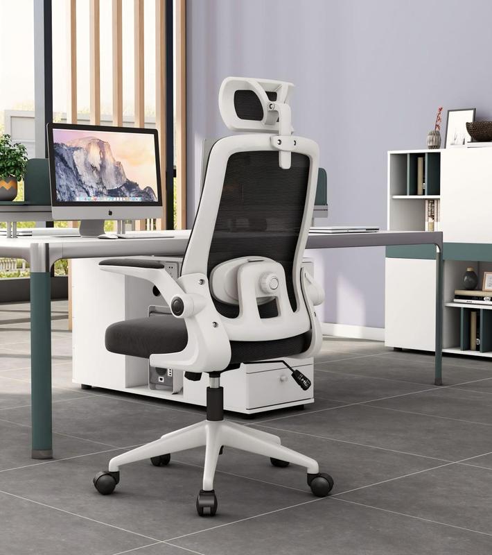 Haojiating Silla De Oficina Ergonomica Soporte Lumbar Ajustable Con Reposa Cabeza