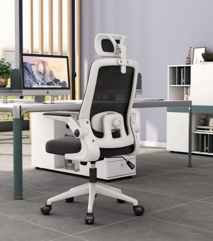 Haojiating Silla De Oficina Ergonomica Soporte Lumbar Ajustable Con Reposa Cabeza