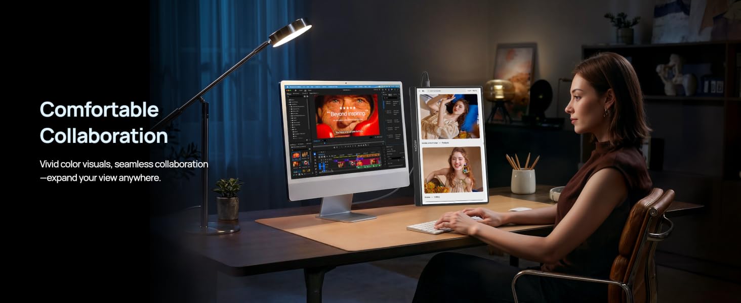 Portable monitor