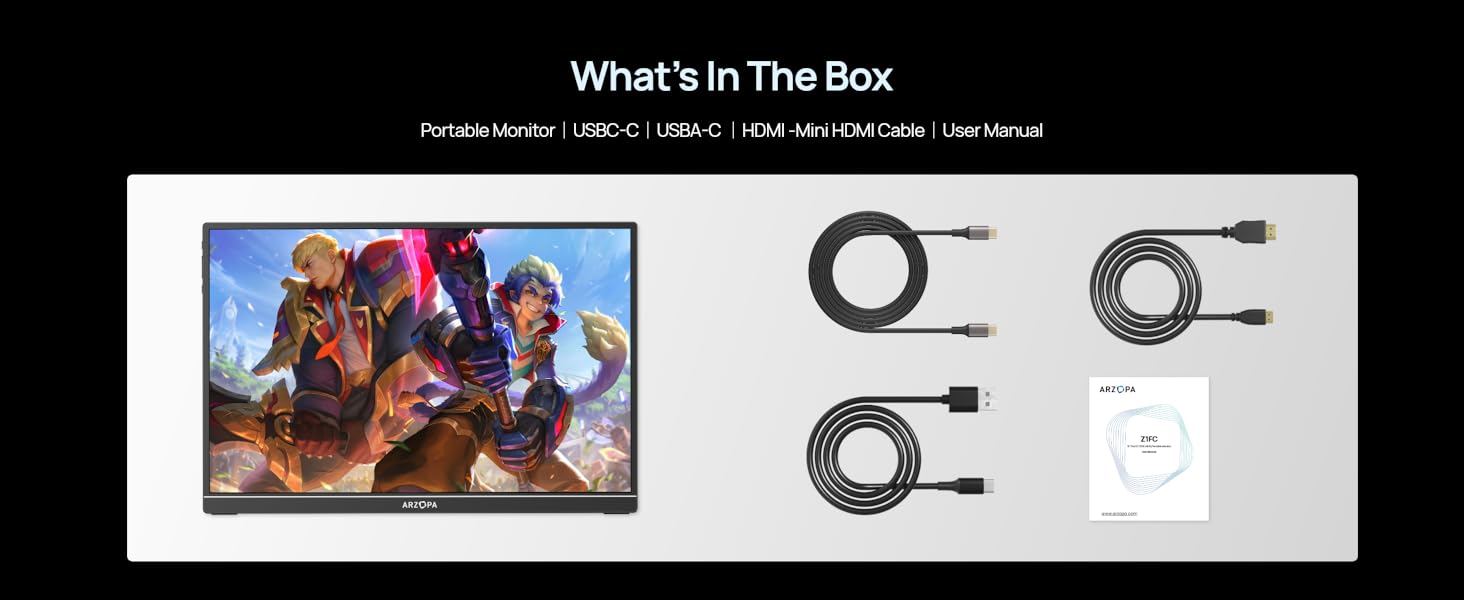 Portable monitor