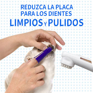 Pasta de dientes de mascota