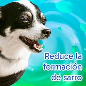 KIT DENTAL (PASTA Y CEPILLO)