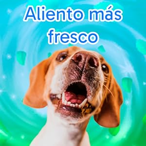 KIT DENTAL (PASTA Y CEPILLO)