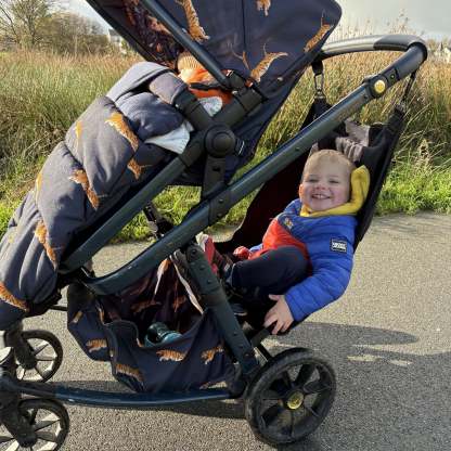Asiento adicional inteligente diseñado específicamente para su segundo hijo.