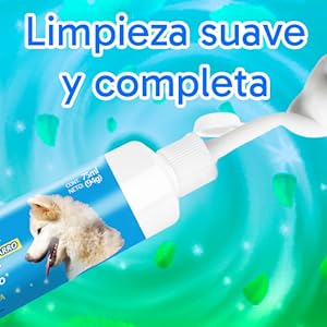 KIT DENTAL (PASTA Y CEPILLO)