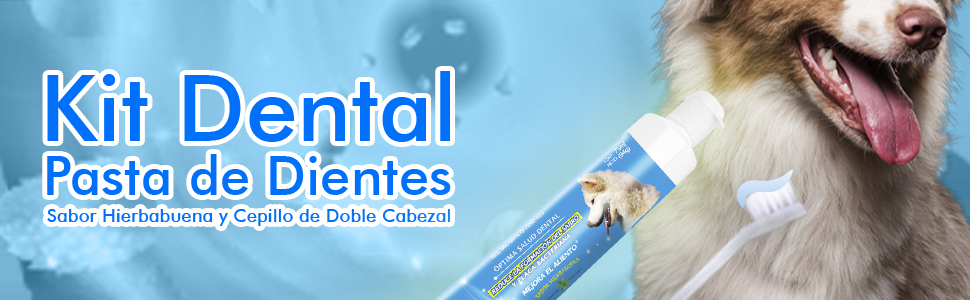 KIT DENTAL (PASTA Y CEPILLO)