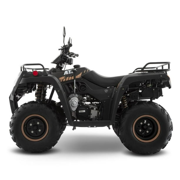 Cuatrimoto Italika ATV250 Negra 2025