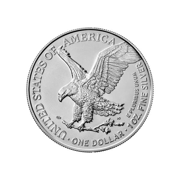 🔥LAST DAY SPECIAL SALE 70% OFF🔥American Eagle 2026 One Ounce Silver Proof Coin